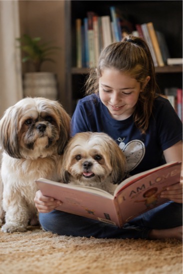 A young ambassador reading aloud in a bright home library alongside a calm Shih Tzu and a curious tabby kitten.
